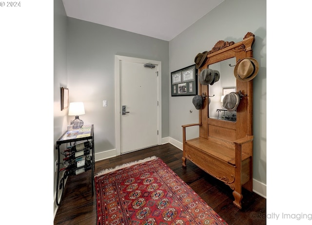 foyer with dark hardwood / wood-style flooring