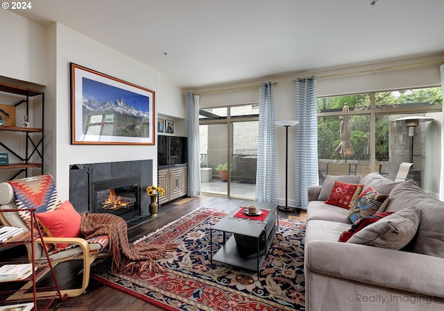 living room featuring wood-type flooring and a fireplace