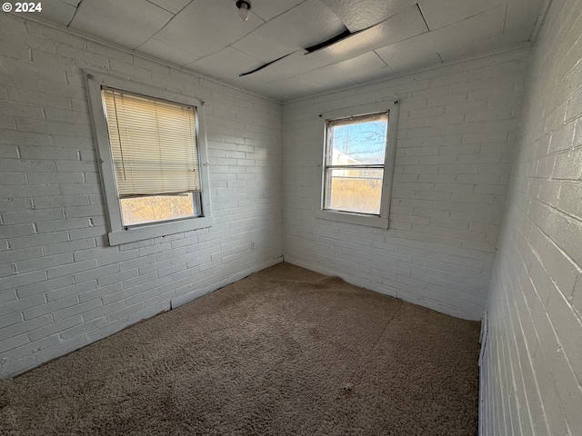 66350 Upper Rock Creek Rd, Arlington, OR 97812 - spare room featuring carpet floors and brick wall