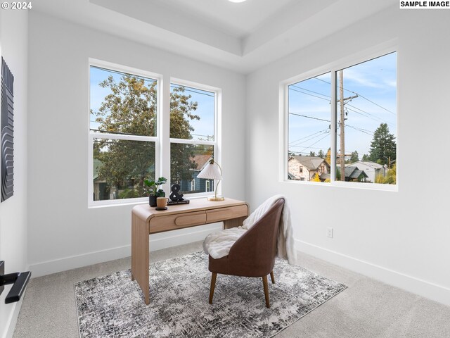 carpeted home office with a wealth of natural light