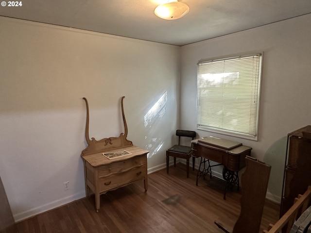 miscellaneous room featuring dark wood-type flooring