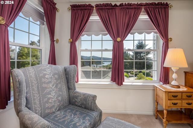 sitting room featuring carpet flooring and baseboards