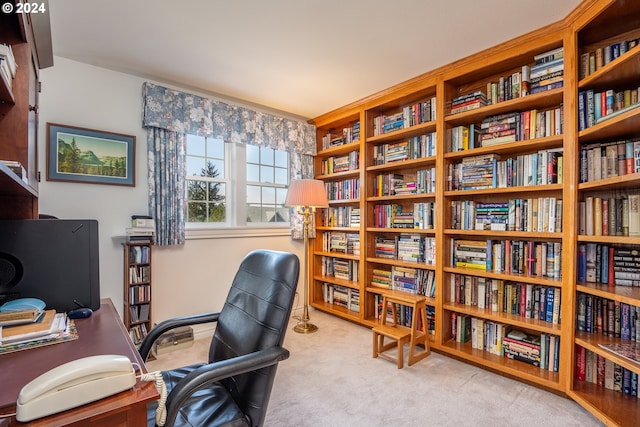 view of carpeted office