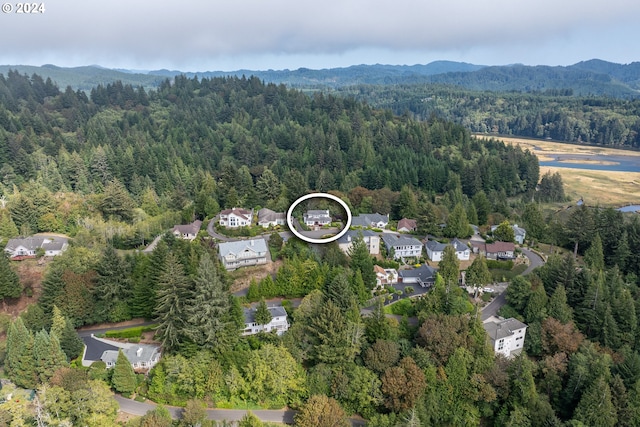 bird's eye view with a forest view and a mountain view