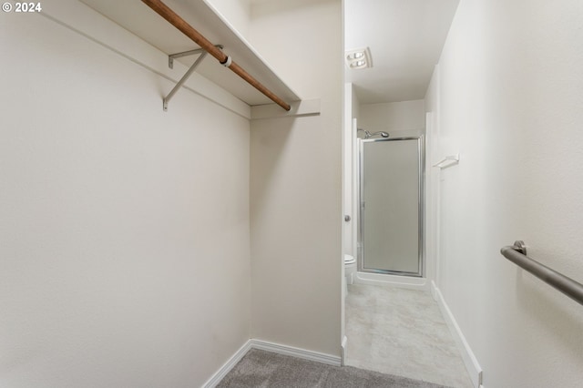 spacious closet featuring carpet