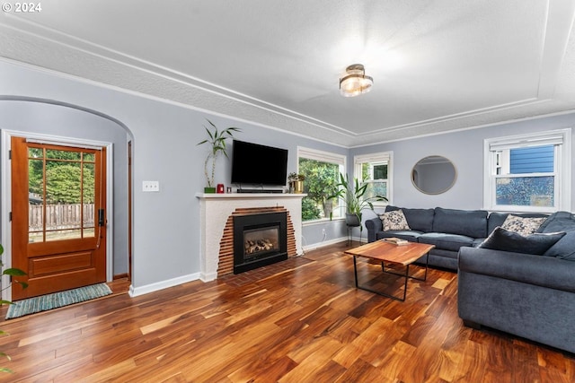 living room with wood-type flooring, crown molding, and a fireplace