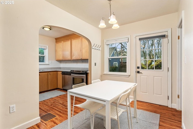 kitchen with plenty of natural light, appliances with stainless steel finishes, hanging light fixtures, and light brown cabinets