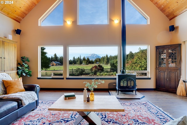 living room with high vaulted ceiling, a wood stove, and a wealth of natural light