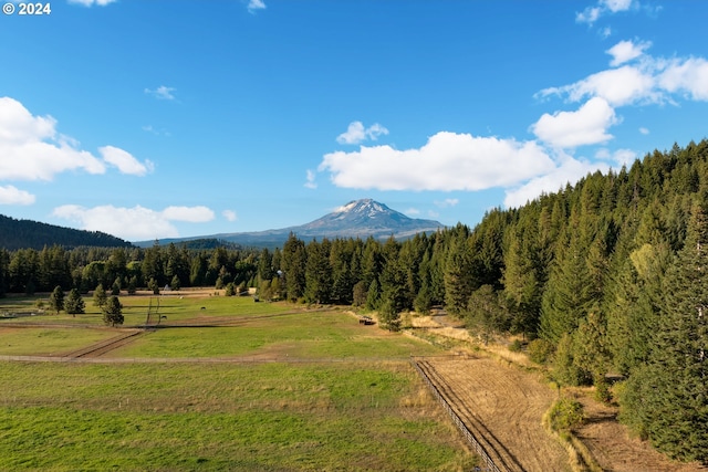 property view of mountains with a rural view