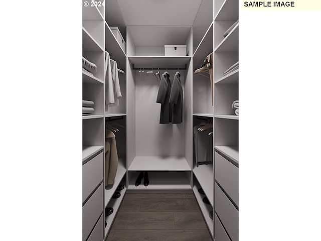 walk in closet featuring dark hardwood / wood-style floors