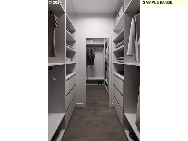 walk in closet with dark hardwood / wood-style floors