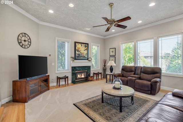 living room with wood-type flooring, a textured ceiling, and crown molding