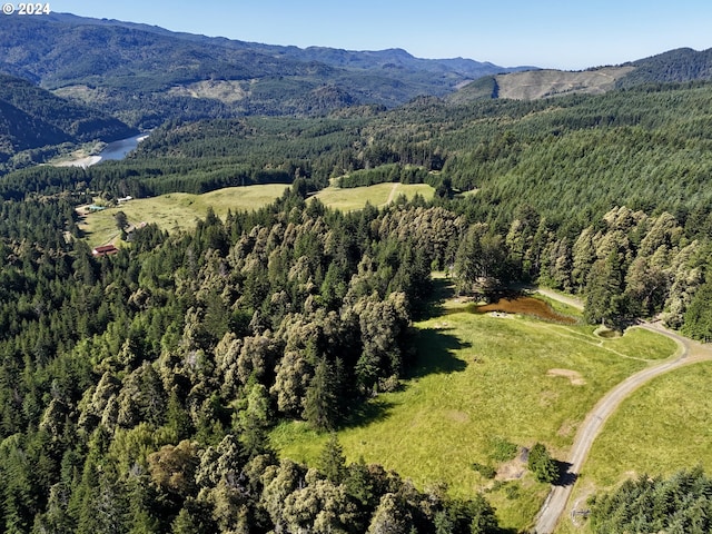 32940 Miller Ranch Rd, Gold Beach OR, 97444 land for sale