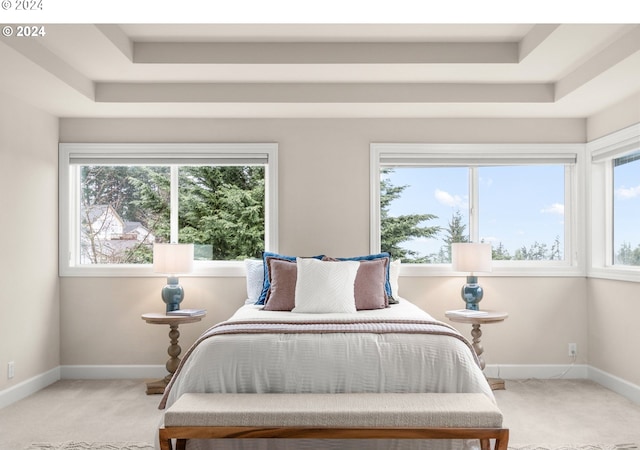 bedroom with baseboards, a tray ceiling, and light colored carpet