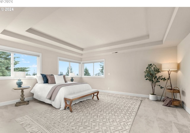 bedroom with a tray ceiling and baseboards