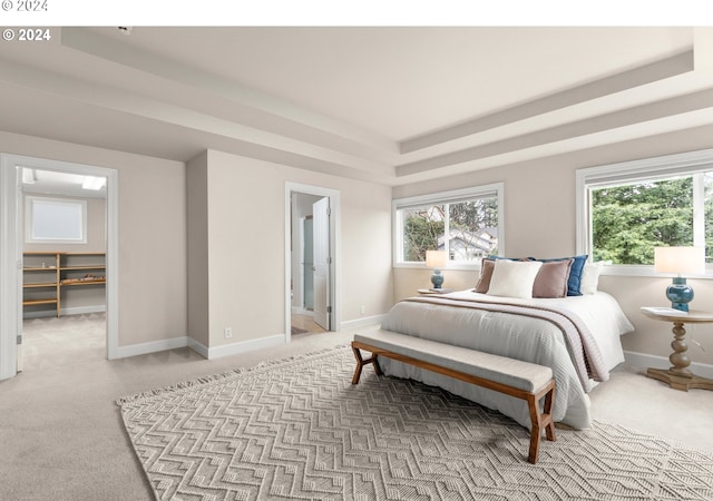 bedroom featuring a raised ceiling, a spacious closet, ensuite bathroom, light carpet, and baseboards