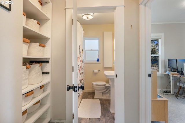 bathroom with hardwood / wood-style flooring, toilet, and ornamental molding