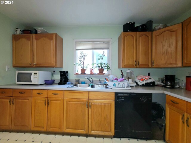 kitchen with sink and dishwasher