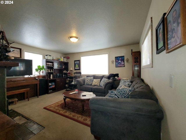 carpeted living room featuring a wealth of natural light