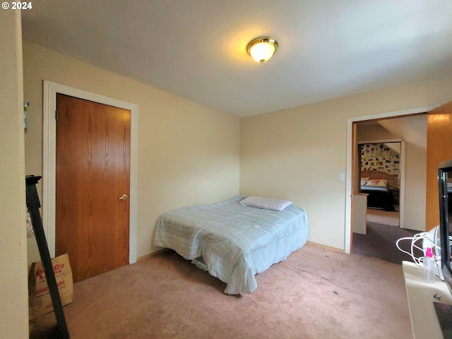 carpeted bedroom featuring a closet