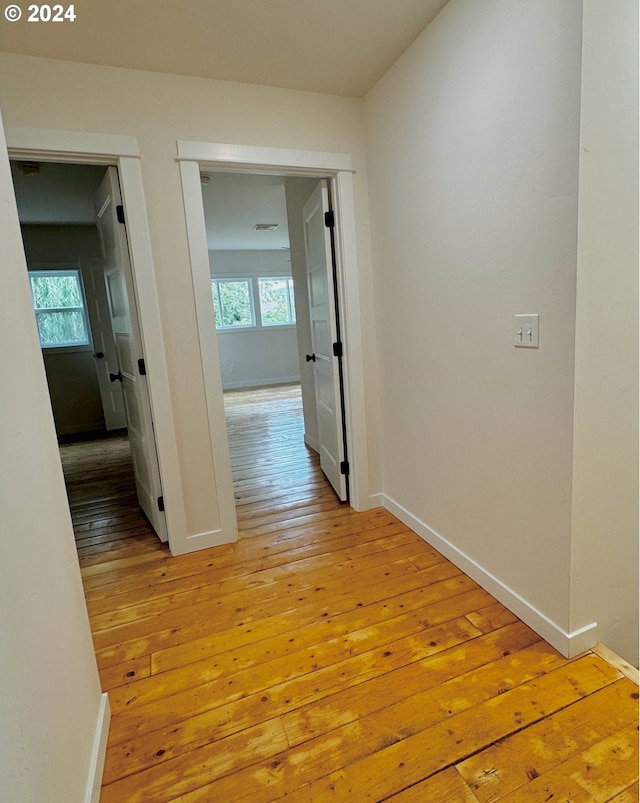 hallway with a wealth of natural light and light hardwood / wood-style flooring