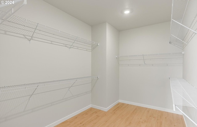 spacious closet with wood-type flooring