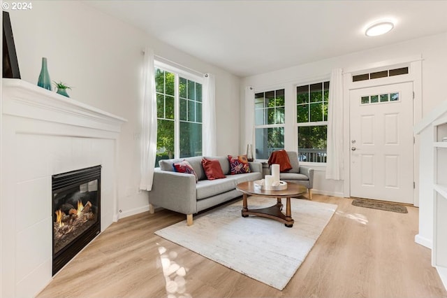 living room featuring light hardwood / wood-style flooring