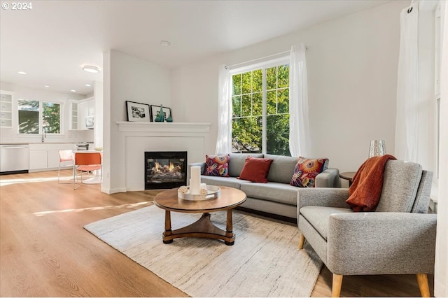 living room featuring light wood-type flooring