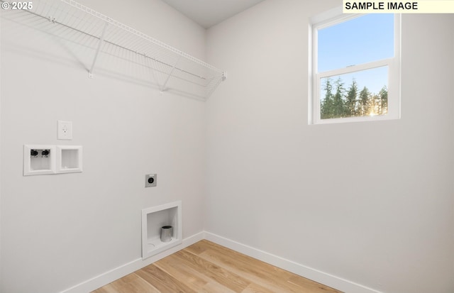 clothes washing area featuring electric dryer hookup and wood-type flooring