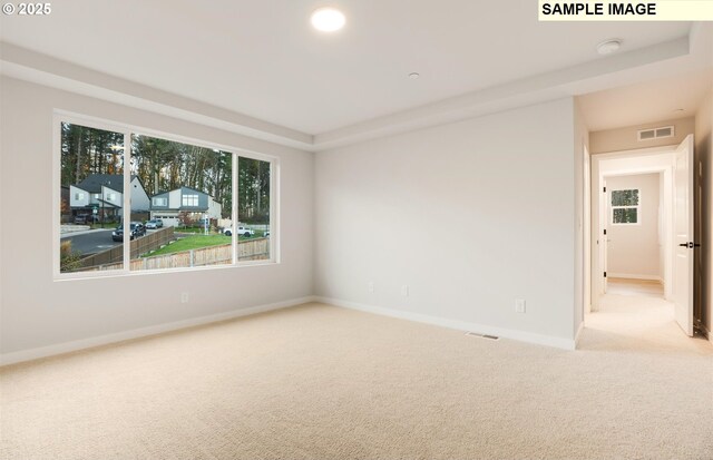 unfurnished room with light colored carpet