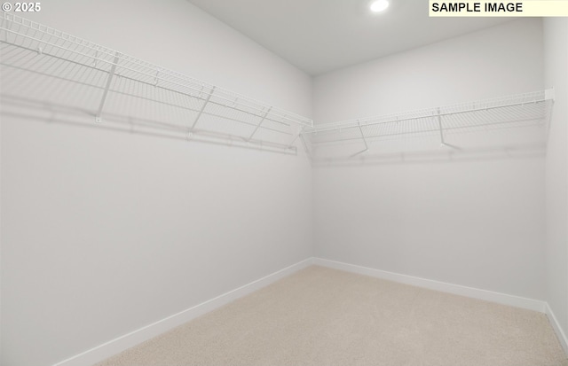 walk in closet featuring carpet