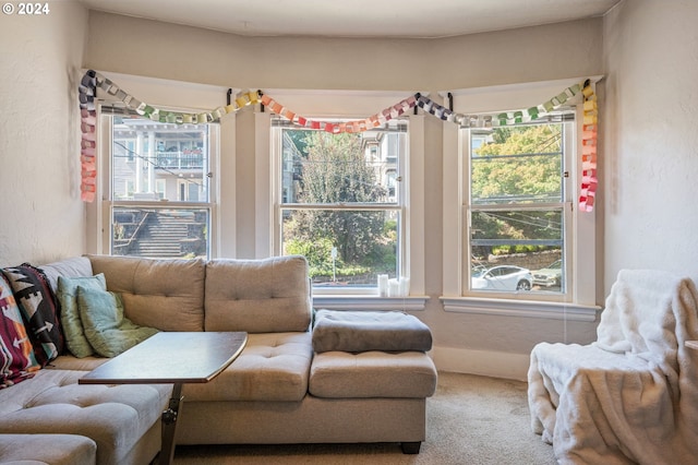 carpeted living room with plenty of natural light