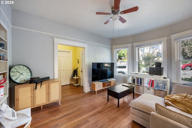 living room with ceiling fan and wood-type flooring