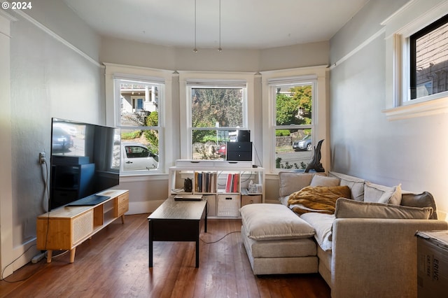 interior space with dark hardwood / wood-style flooring