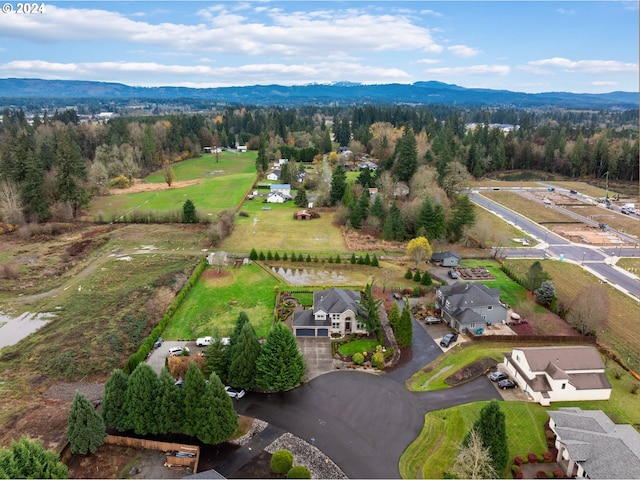 drone / aerial view featuring a mountain view