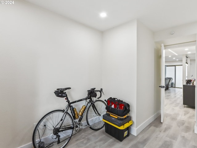 workout area featuring light hardwood / wood-style floors