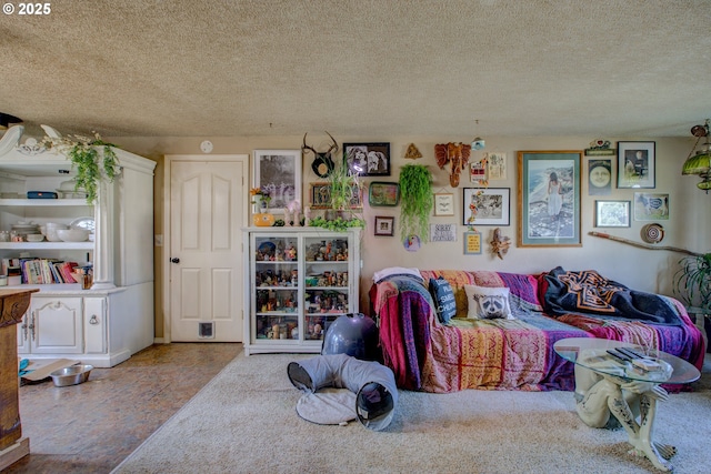 living room with a textured ceiling