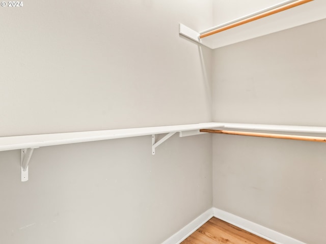 spacious closet with wood-type flooring