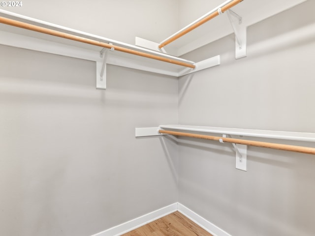 spacious closet with hardwood / wood-style flooring