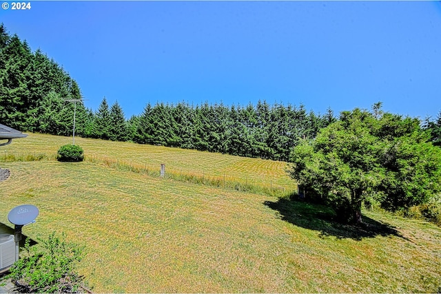 view of yard featuring a rural view