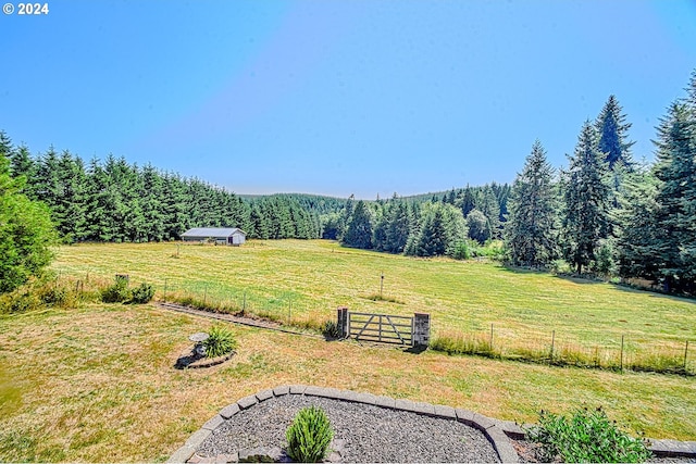 view of yard with a rural view