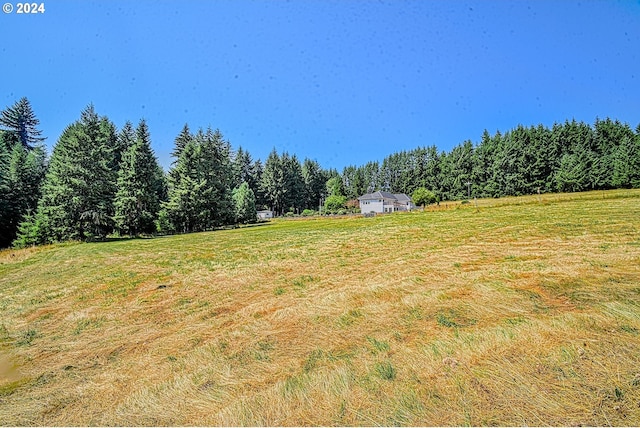 view of yard featuring a rural view