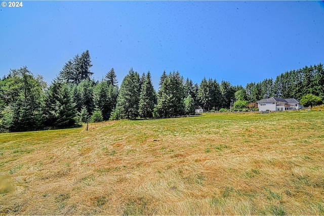 view of yard featuring a rural view