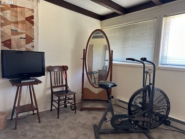 workout area featuring carpet