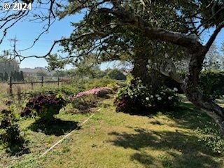 view of yard with a rural view