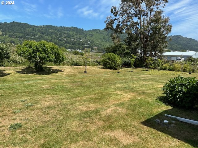 view of yard featuring a mountain view