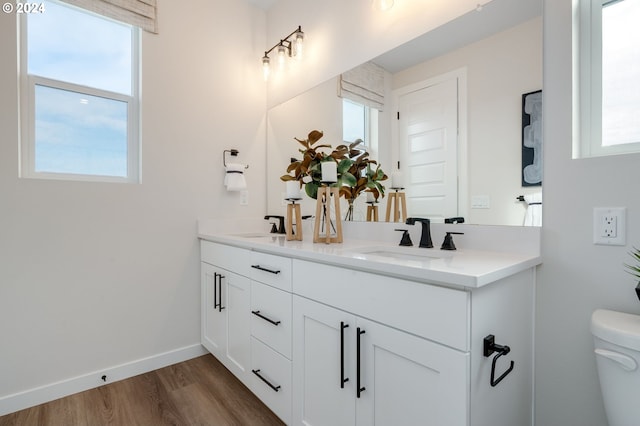 bathroom featuring vanity, toilet, and wood-type flooring