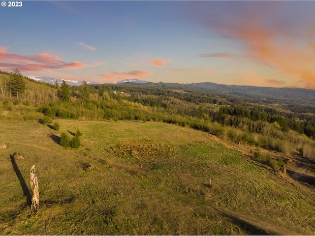 0 NE Alvas, Battle Ground WA, 98604 land for sale