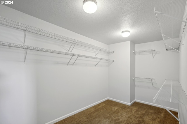 walk in closet with dark carpet