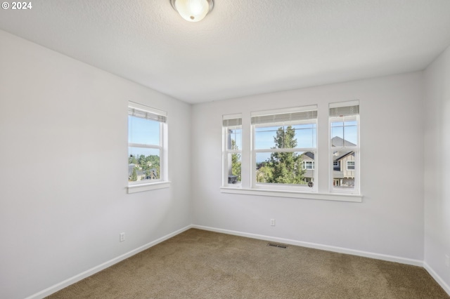 carpeted empty room featuring a wealth of natural light